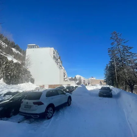 Modern Mountain Room With Shared Bathroom At 500M To Ski Lifts And Leysin Center Mini-hôtel