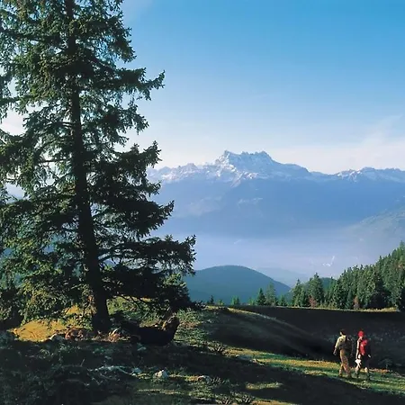 Modern Mountain Room With Shared Bathroom At 500M To Ski Lifts And Leysin Center Han/Misafirhane *