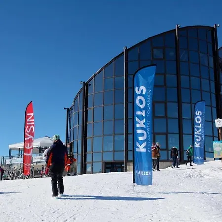 Modern Mountain Room With Shared Bathroom At 500M To Ski Lifts And Leysin Center